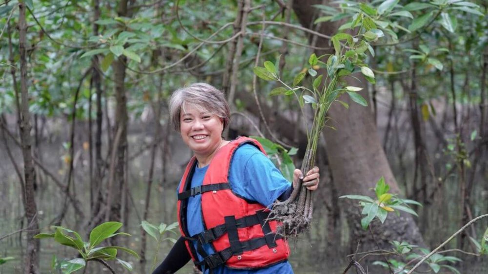 MSC จัดกิจกรรมอาสาปลูกป่าชายเลนบ้านคลองโคน