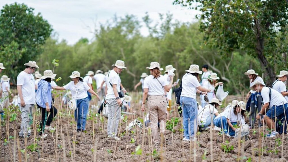 MSC organized volunteer forest planting activities at The Recreation and Convalescence Centre at Bangpu